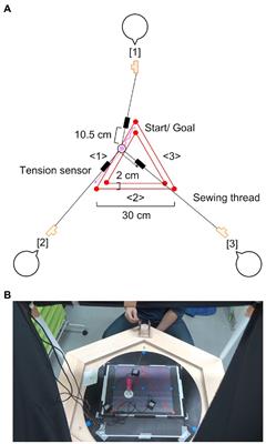 Analysis of group behavior based on sharing heterogeneous roles in a triad using a coordinated drawing task